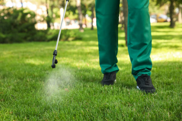Best Emergency Pest Control  in University Of Virginia, VA