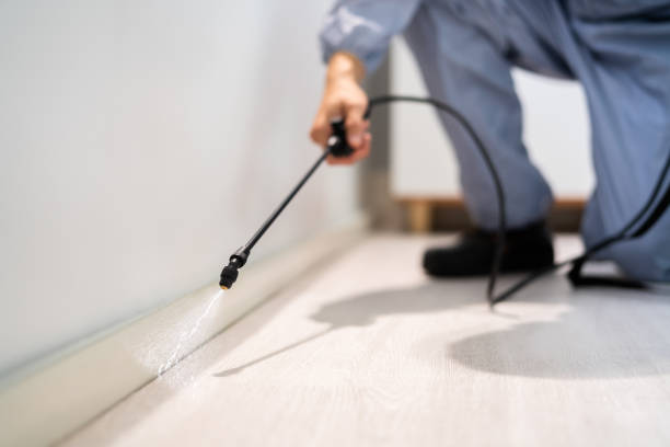 Best Pest Removal Services  in University Of Virginia, VA