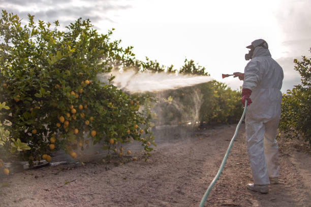 Best Insect Control  in University Of Virginia, VA