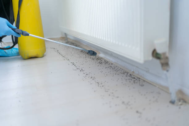 Best Bed Bug Extermination  in University Of Virginia, VA