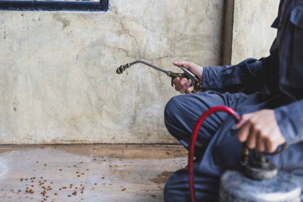 Best Termite Control Services  in University Of Virginia, VA